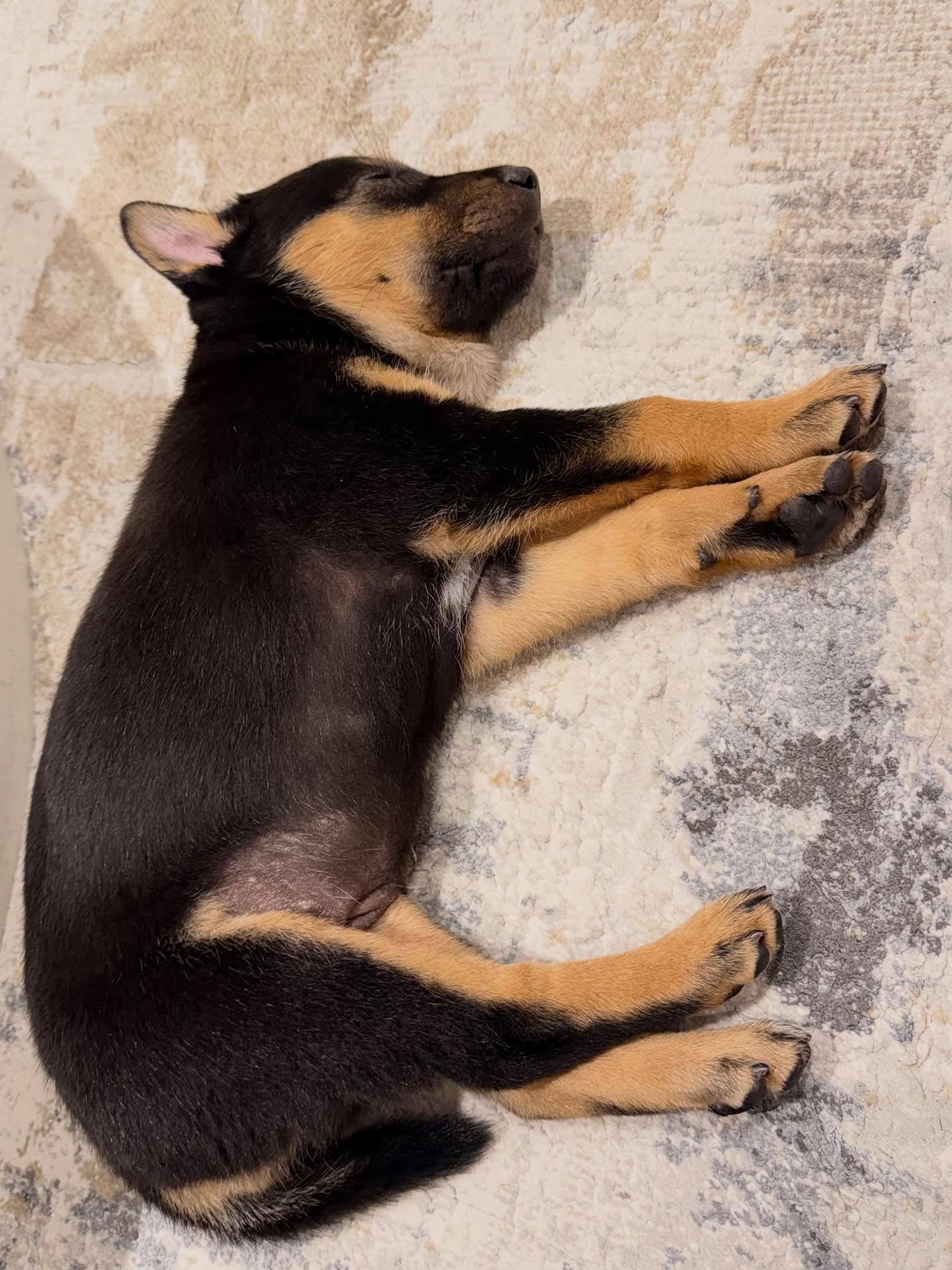 จั๊กจั่น - อคัมย์สิริ สุวรรณศุข