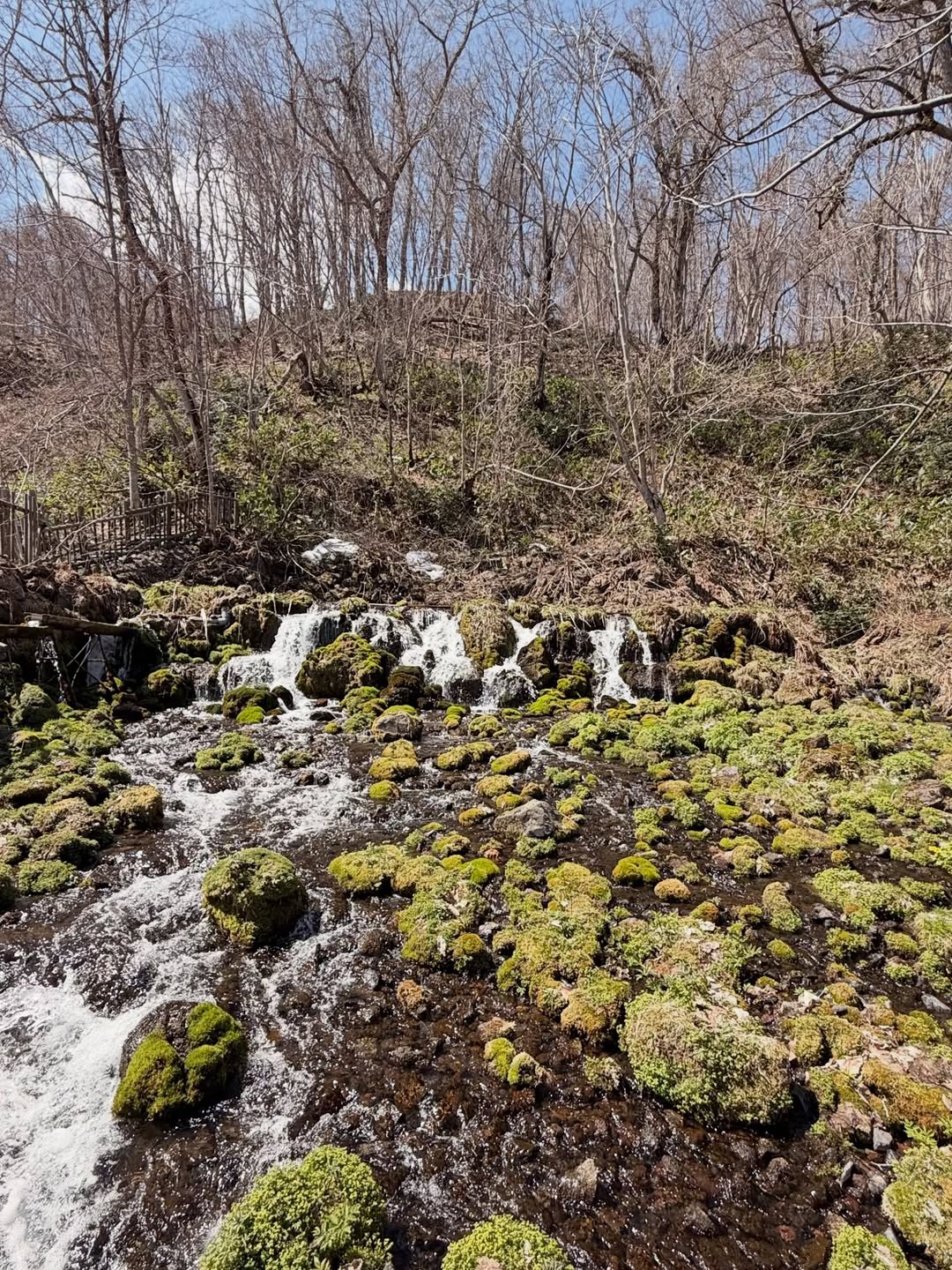 จั๊กจั่น - อคัมย์สิริ สุวรรณศุข