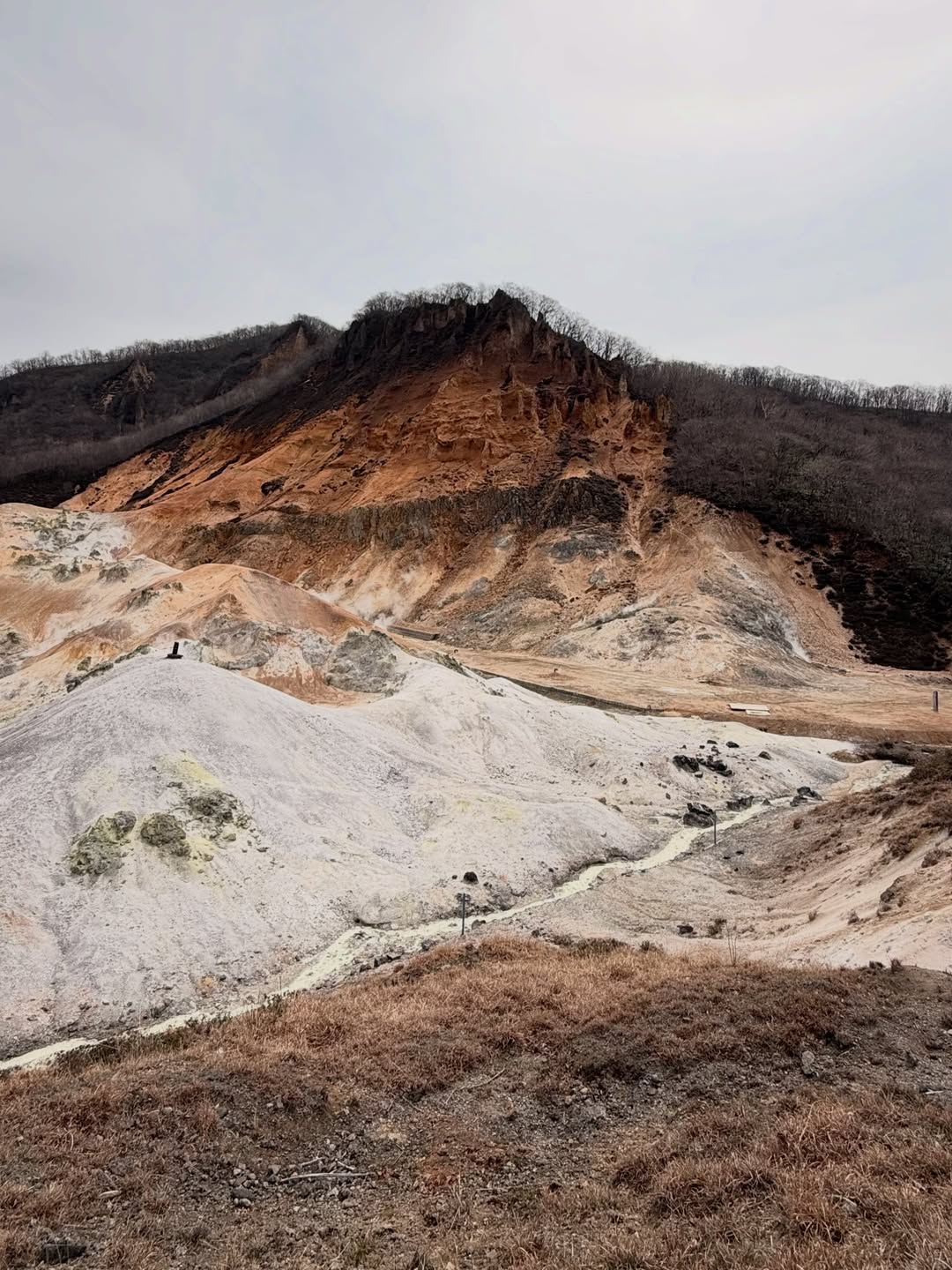 จั๊กจั่น - อคัมย์สิริ สุวรรณศุข