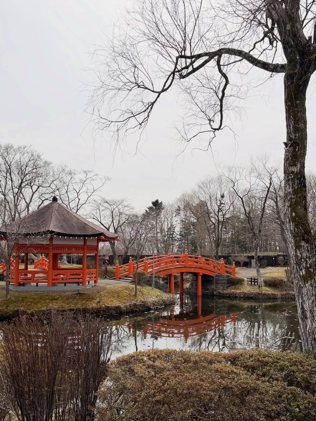 จั๊กจั่น - อคัมย์สิริ สุวรรณศุข