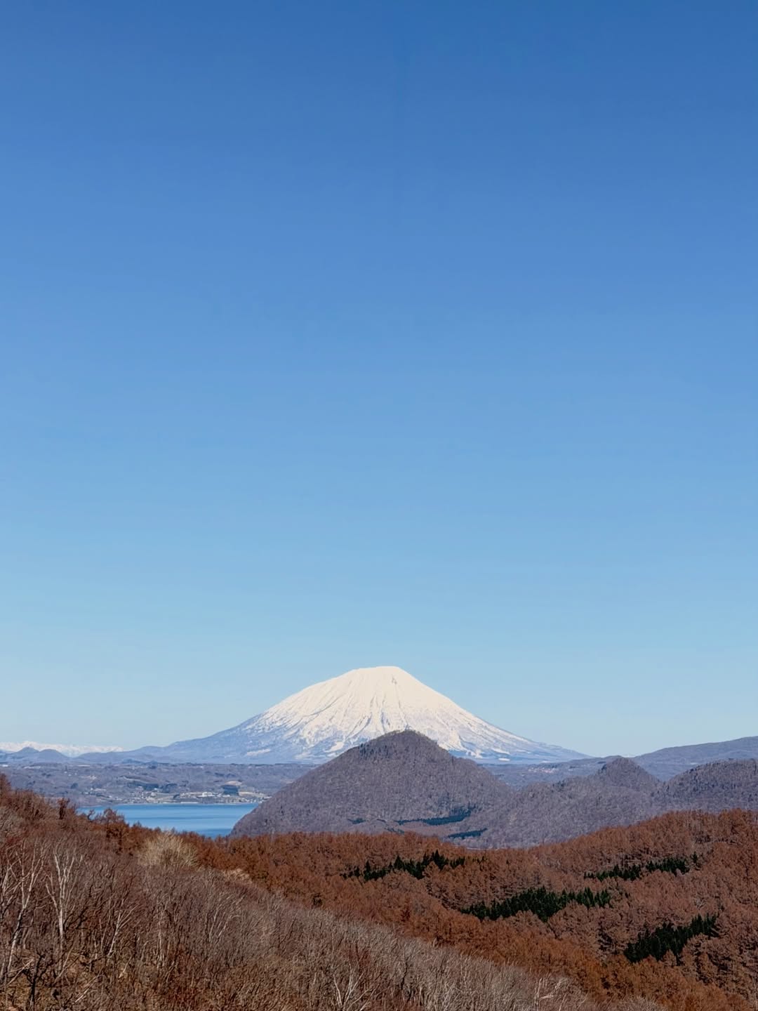 จั๊กจั่น - อคัมย์สิริ สุวรรณศุข