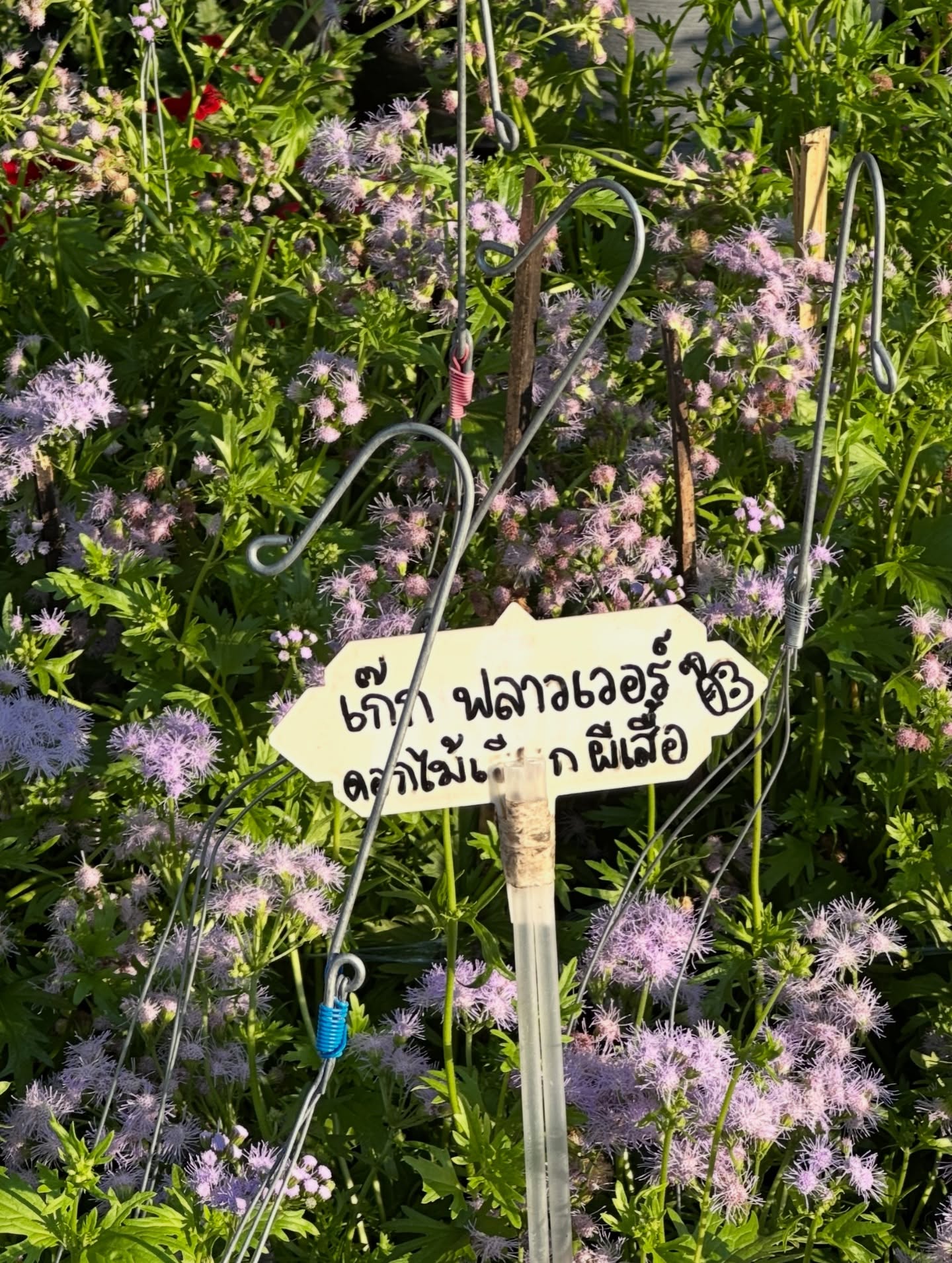 อู๋ - ธนบูรณ์ เกียรตินิรันดร์