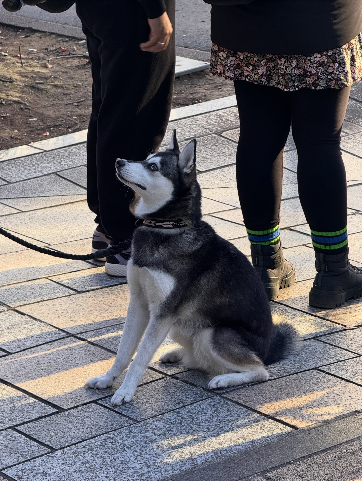 อู๋ - ธนบูรณ์ เกียรตินิรันดร์