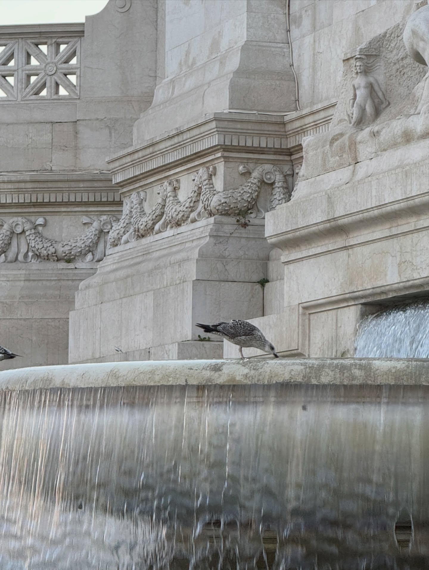 อู๋ - ธนบูรณ์ เกียรตินิรันดร์