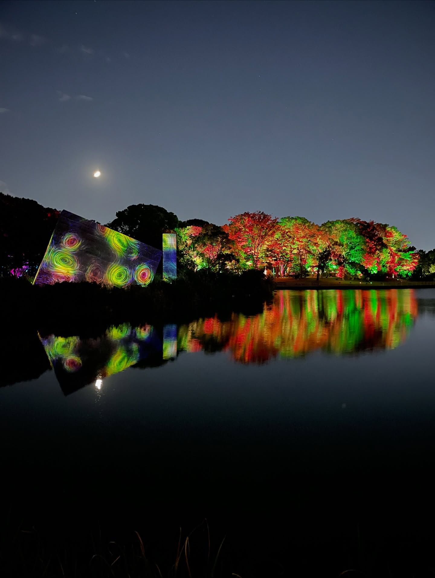 ต่าย - ชุติมา ทีปะนาถ