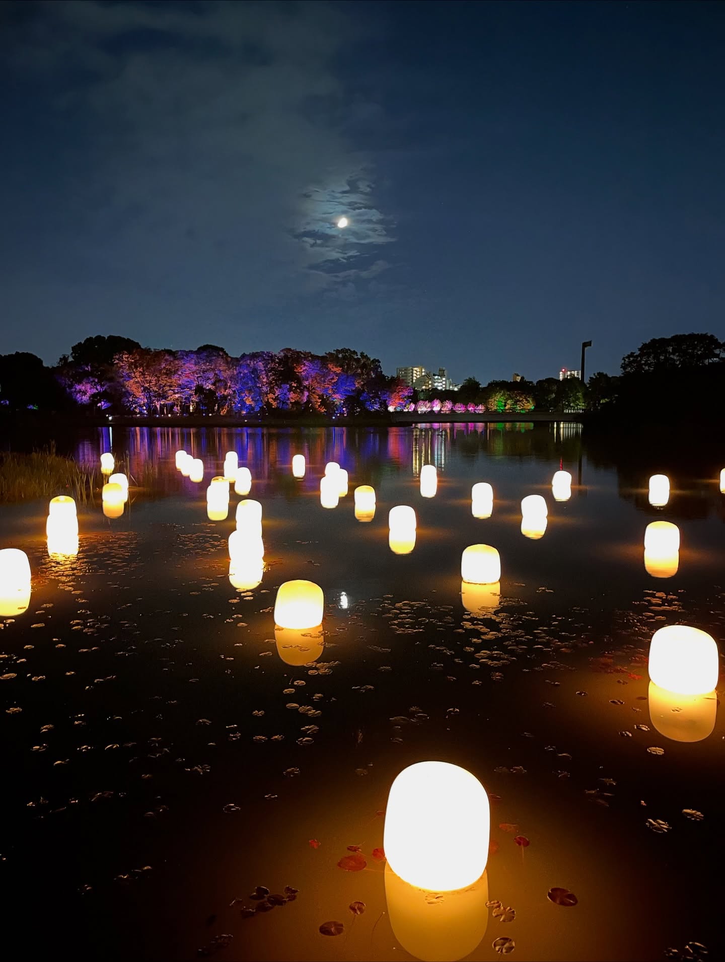 ต่าย - ชุติมา ทีปะนาถ