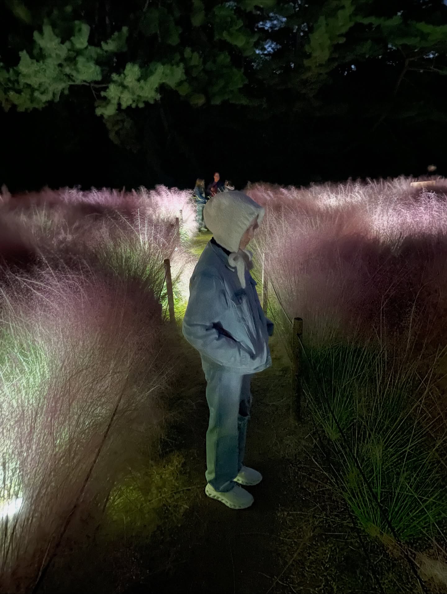 ต่าย - ชุติมา ทีปะนาถ