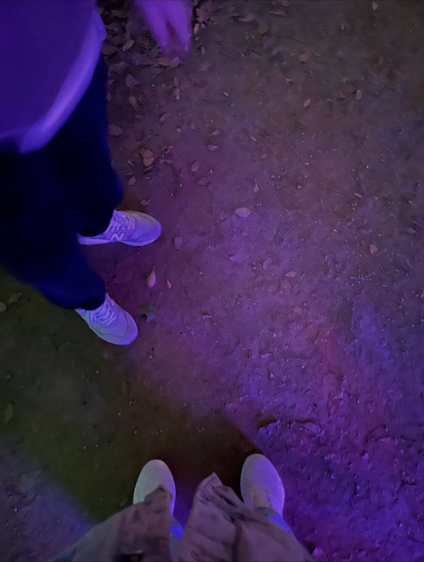 ต่าย - ชุติมา ทีปะนาถ