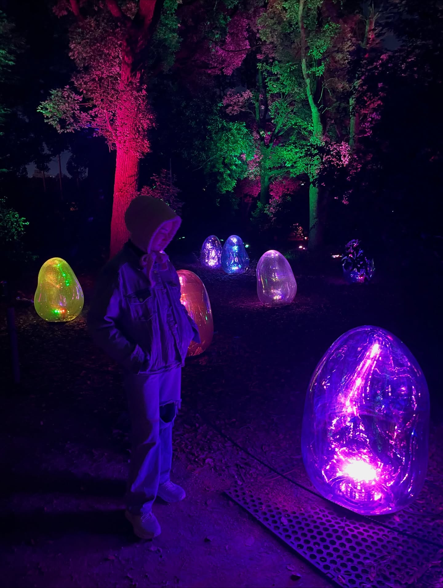 ต่าย - ชุติมา ทีปะนาถ