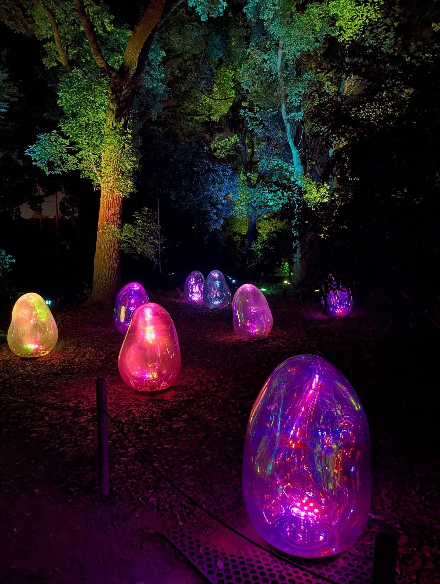 ต่าย - ชุติมา ทีปะนาถ