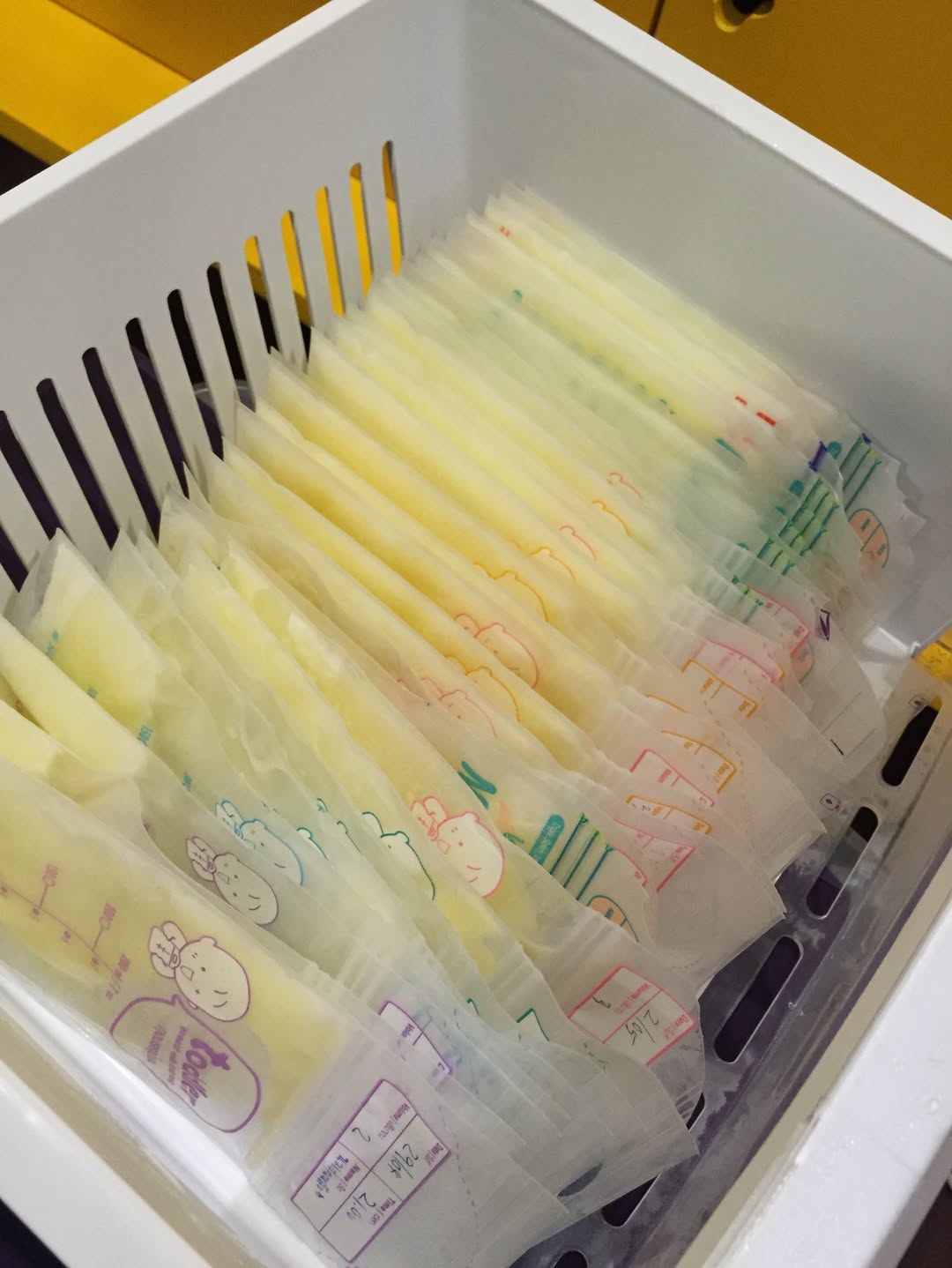 ต่าย - ชุติมา ทีปะนาถ