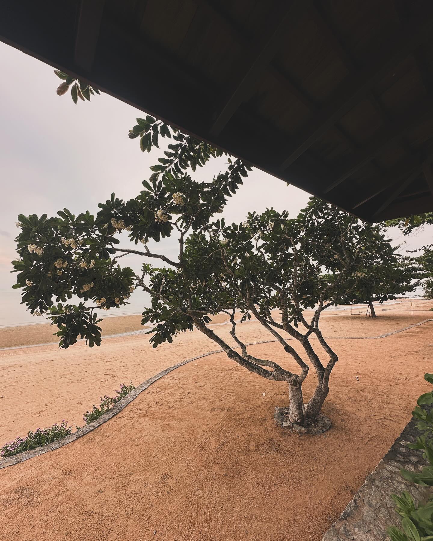 น้ำหวาน - รักษ์ณภัค วงศ์ธนทัศน์