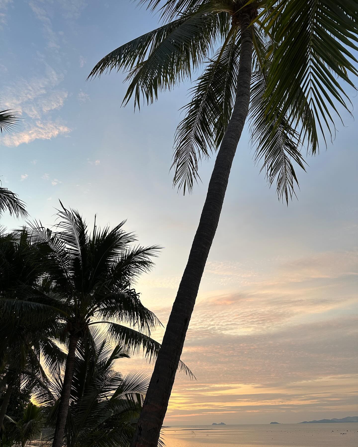 น้ำหวาน - รักษ์ณภัค วงศ์ธนทัศน์