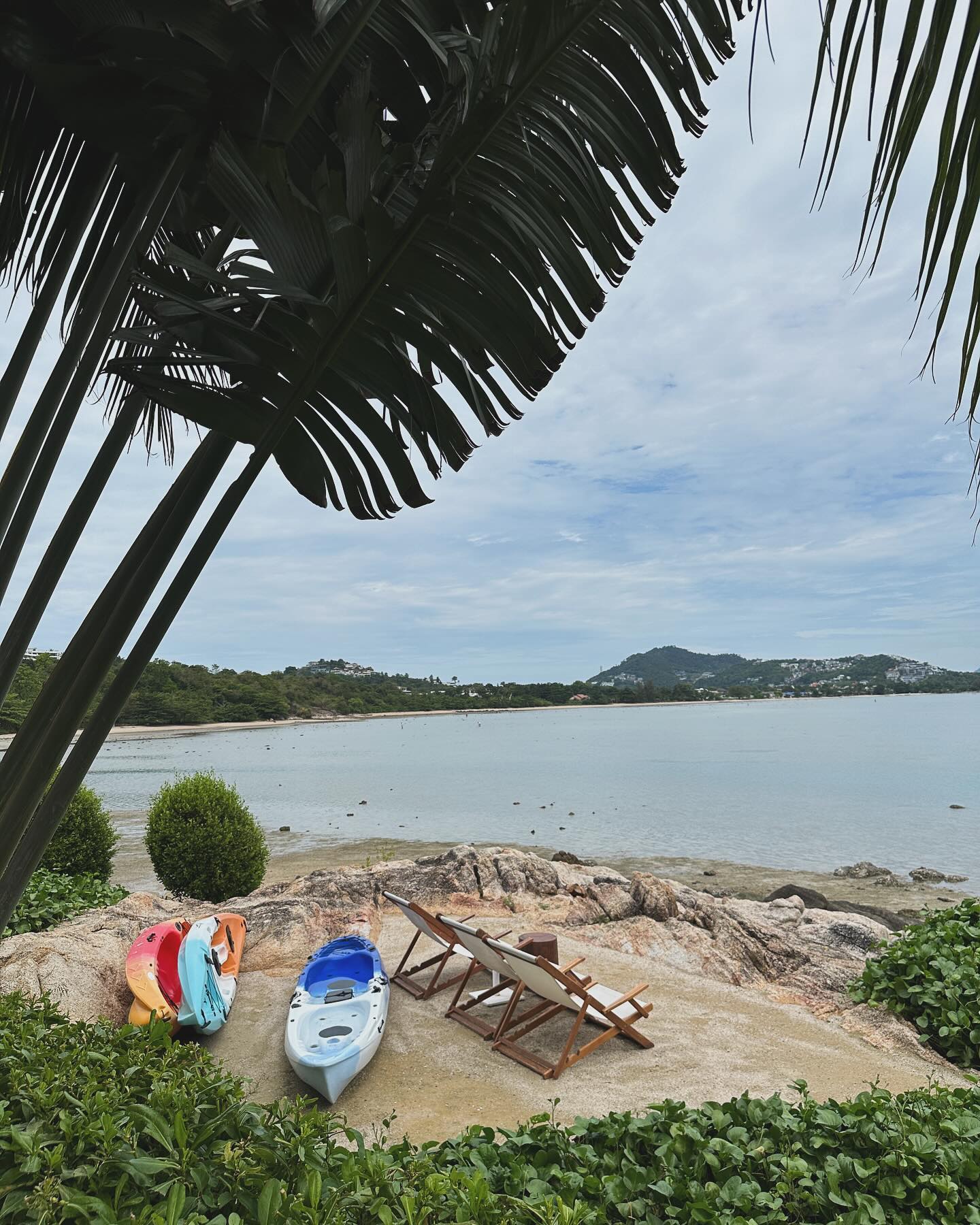 น้ำหวาน - รักษ์ณภัค วงศ์ธนทัศน์