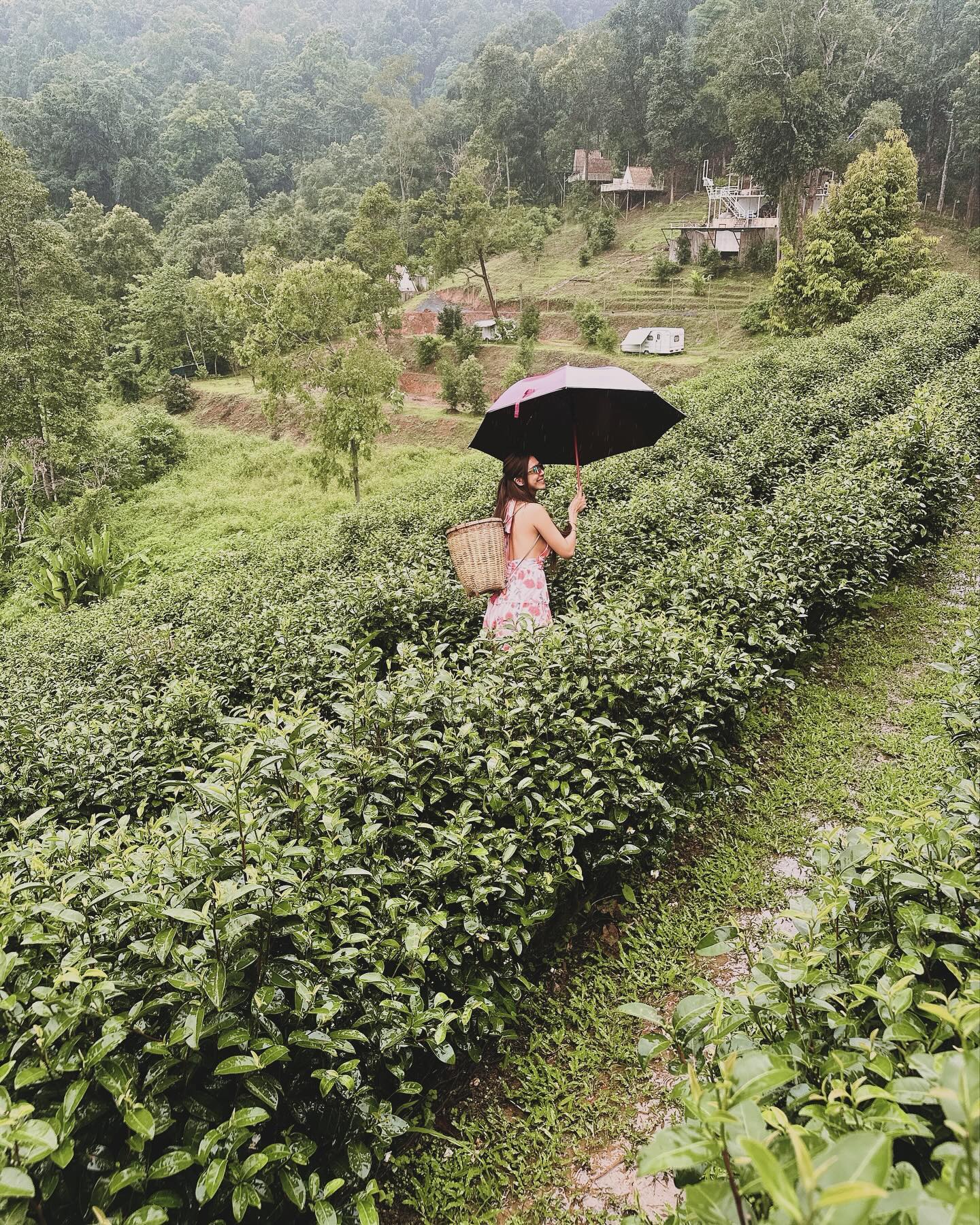 น้ำหวาน - รักษ์ณภัค วงศ์ธนทัศน์