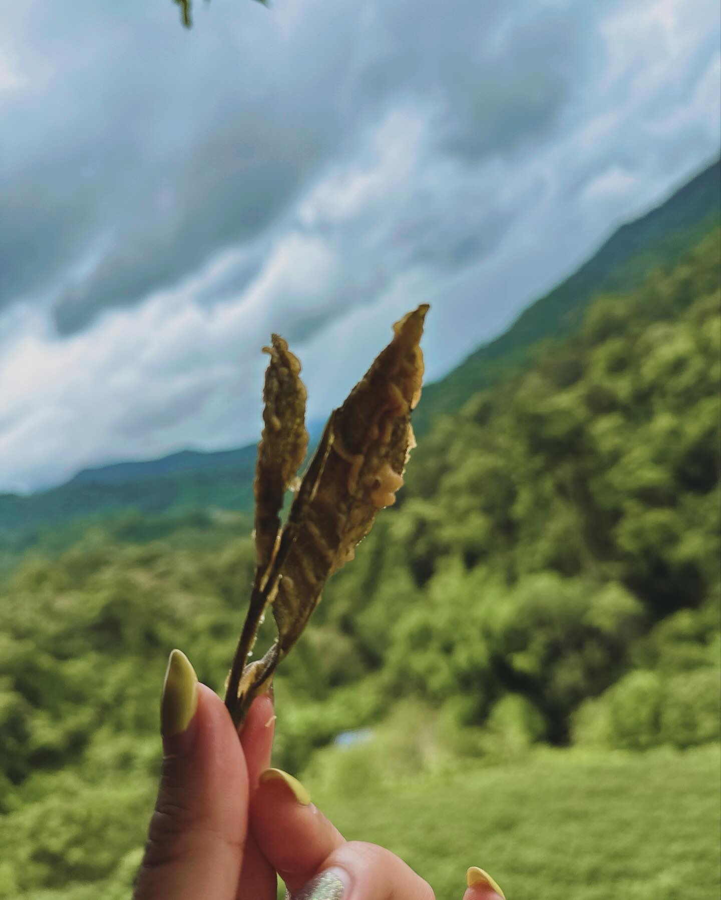 น้ำหวาน - รักษ์ณภัค วงศ์ธนทัศน์