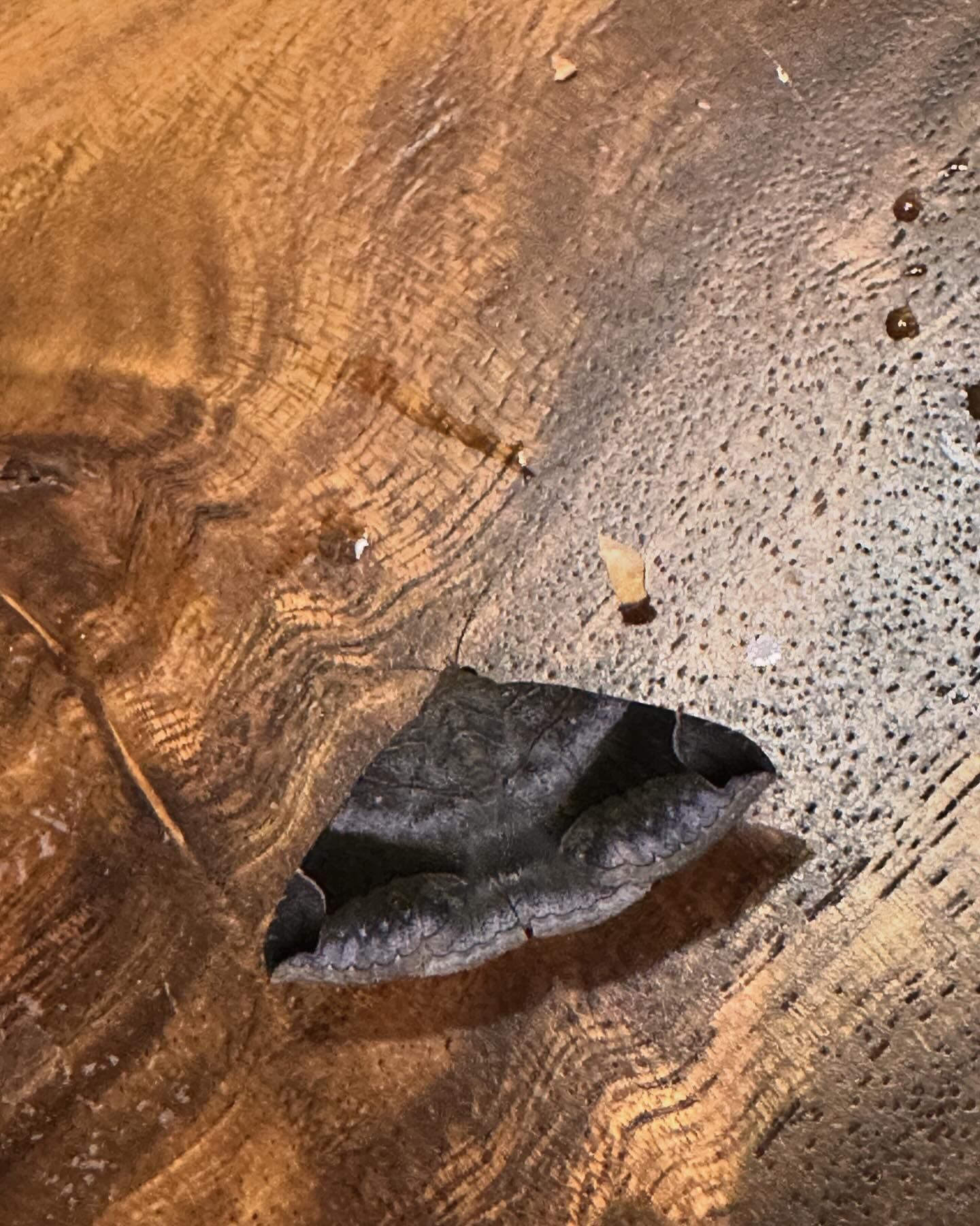 น้ำหวาน - รักษ์ณภัค วงศ์ธนทัศน์