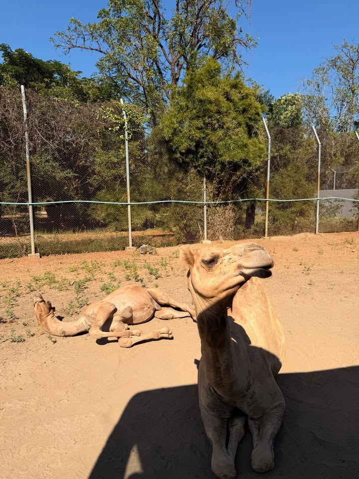 น้ำหวาน - รักษ์ณภัค วงศ์ธนทัศน์
