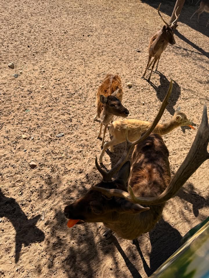 น้ำหวาน - รักษ์ณภัค วงศ์ธนทัศน์