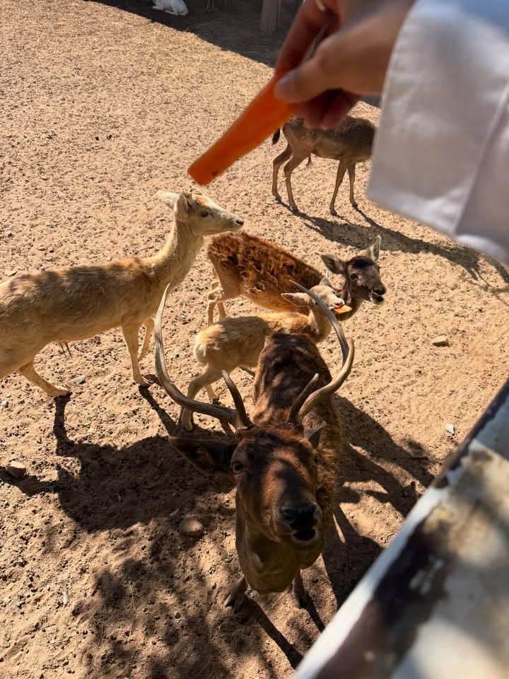 น้ำหวาน - รักษ์ณภัค วงศ์ธนทัศน์