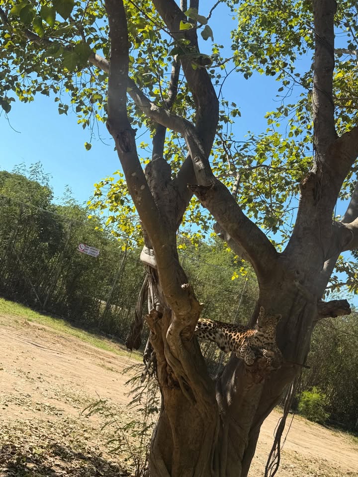 น้ำหวาน - รักษ์ณภัค วงศ์ธนทัศน์