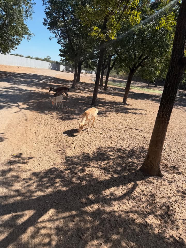 น้ำหวาน - รักษ์ณภัค วงศ์ธนทัศน์