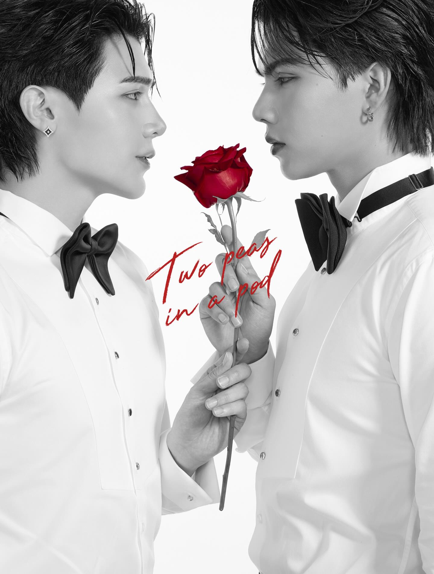 พีท - วสุธร ชัยจินดา