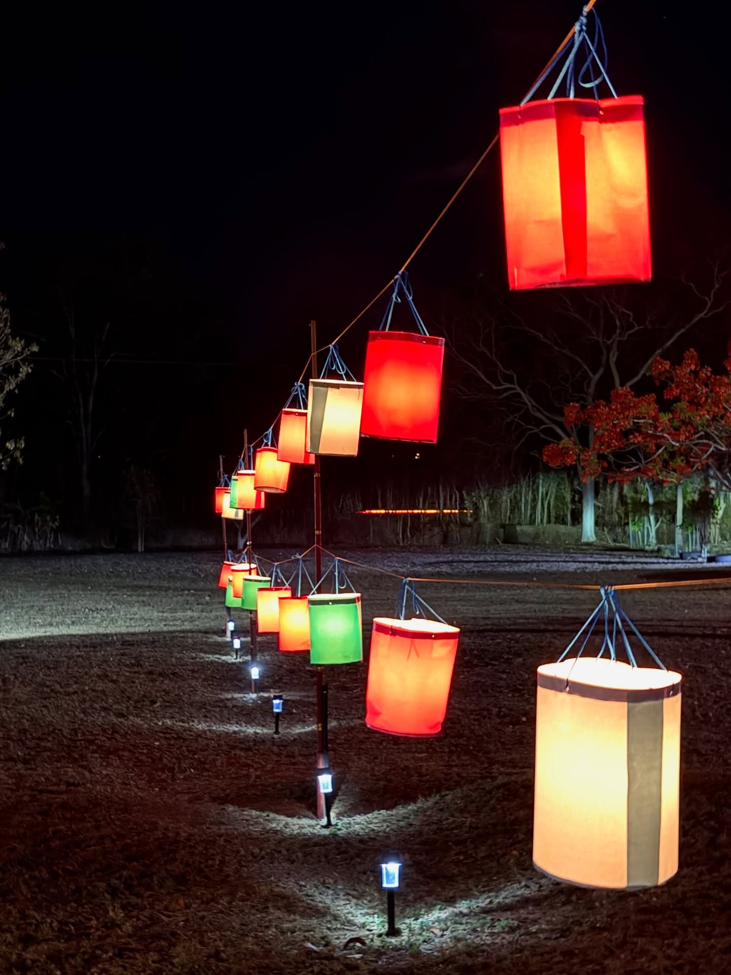 โดม เพชรธำรงชัย