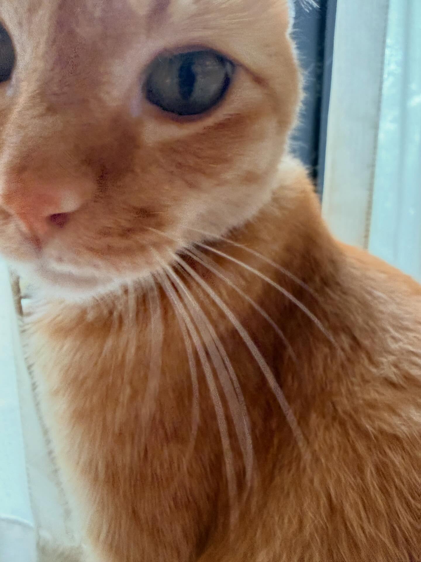 ทราย เจริญปุระ