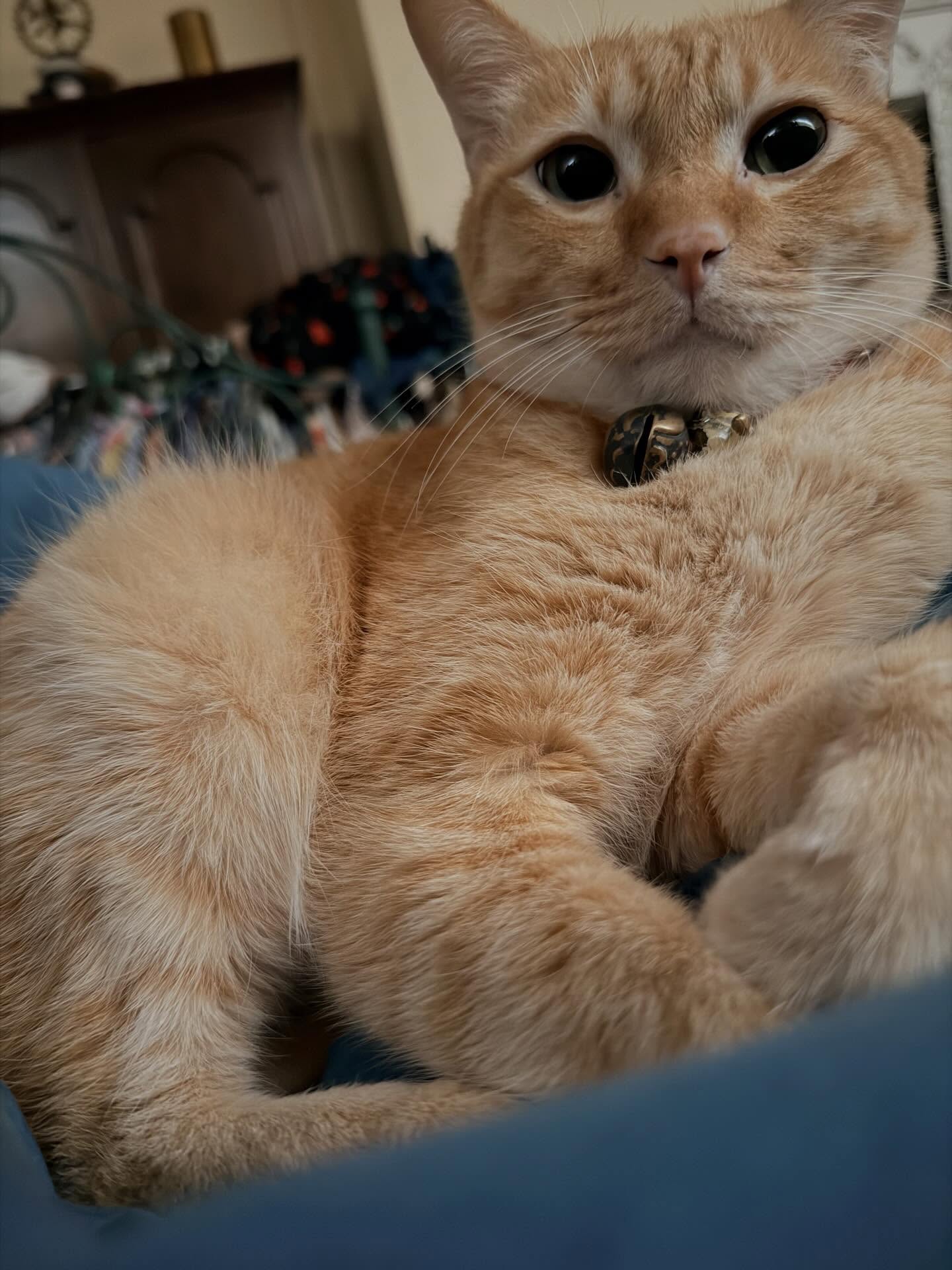 ทราย เจริญปุระ