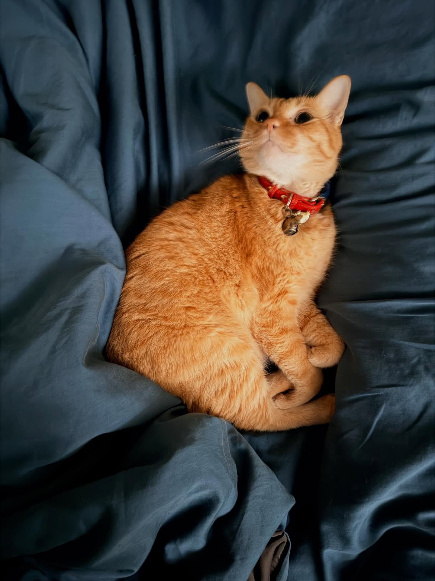 ทราย เจริญปุระ