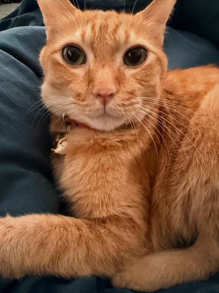 ทราย เจริญปุระ