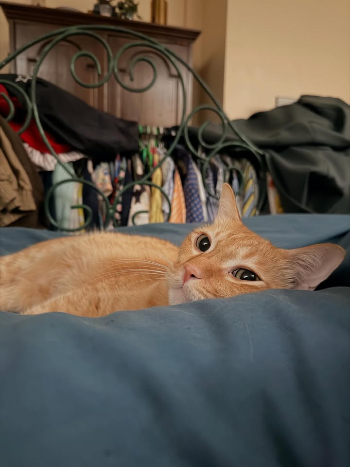 ทราย เจริญปุระ