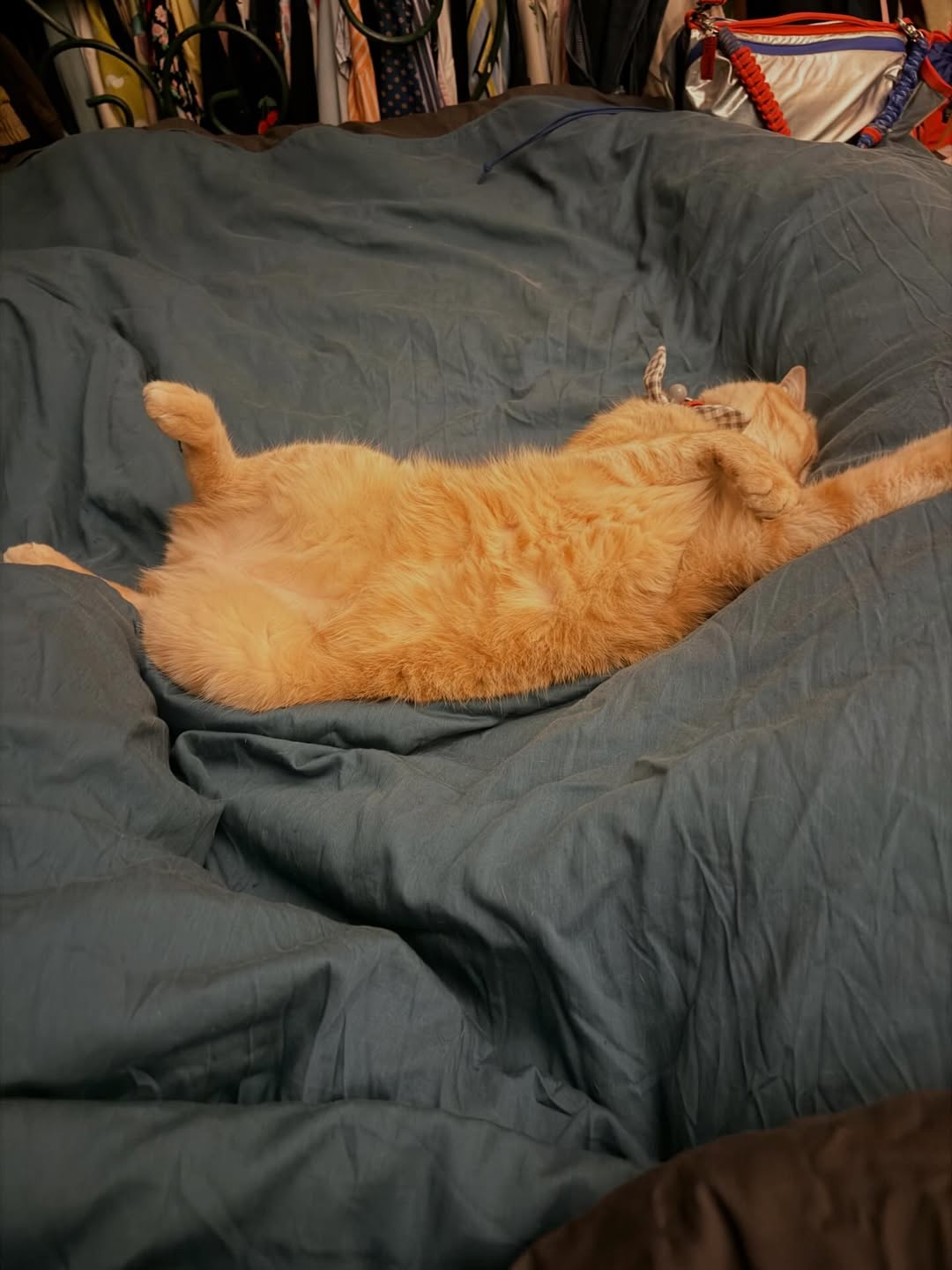 ทราย เจริญปุระ