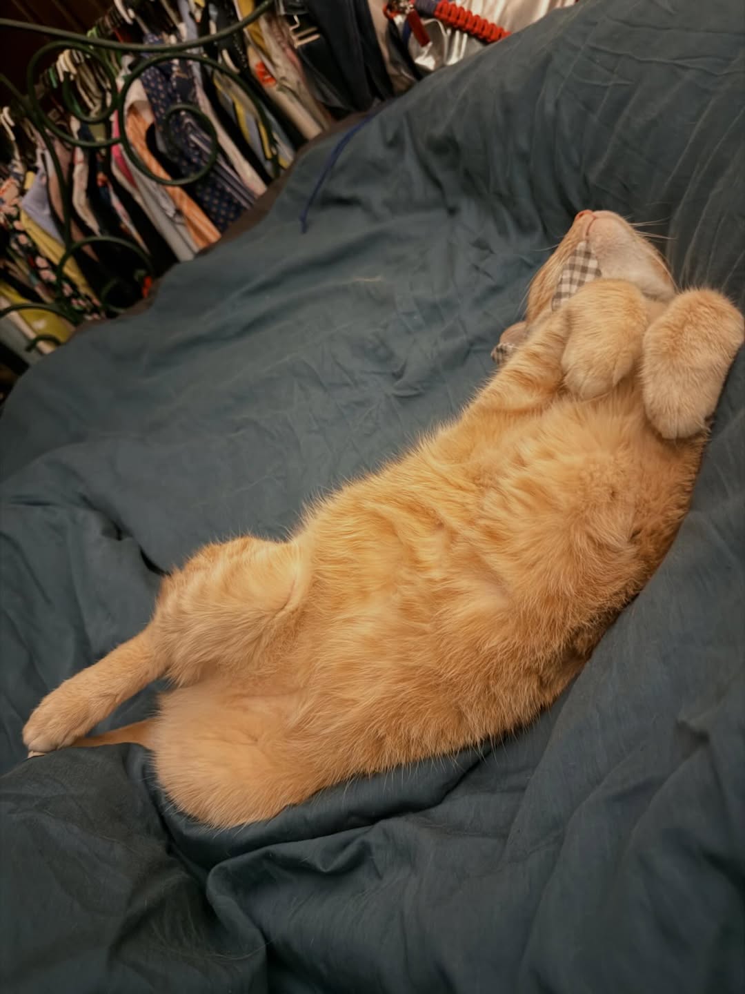 ทราย เจริญปุระ