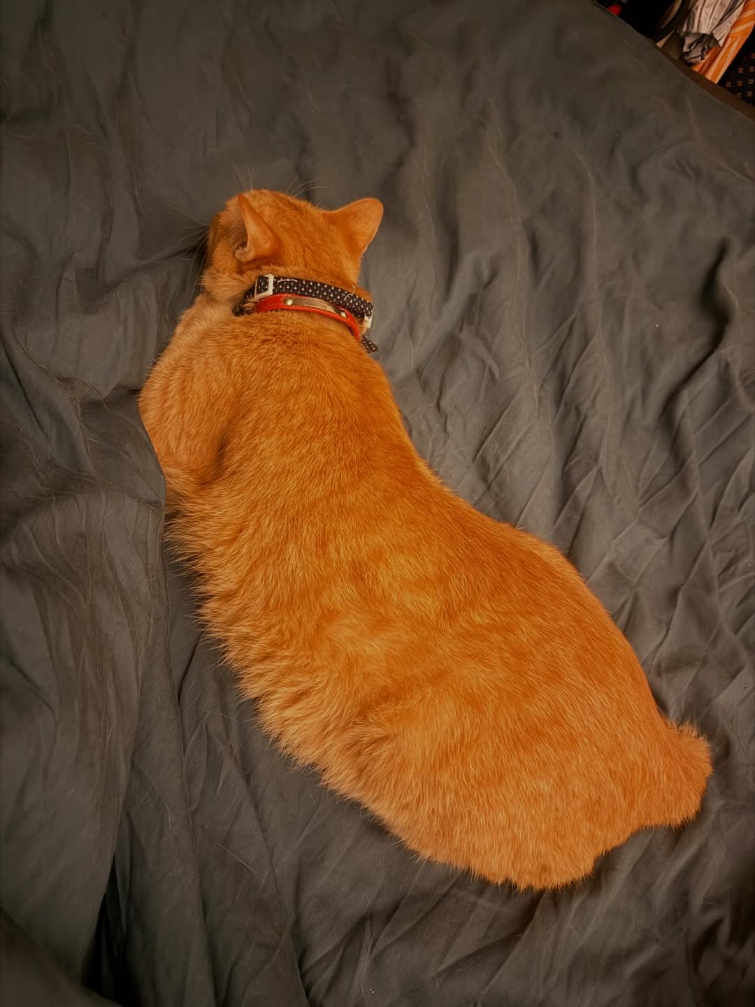 ทราย เจริญปุระ