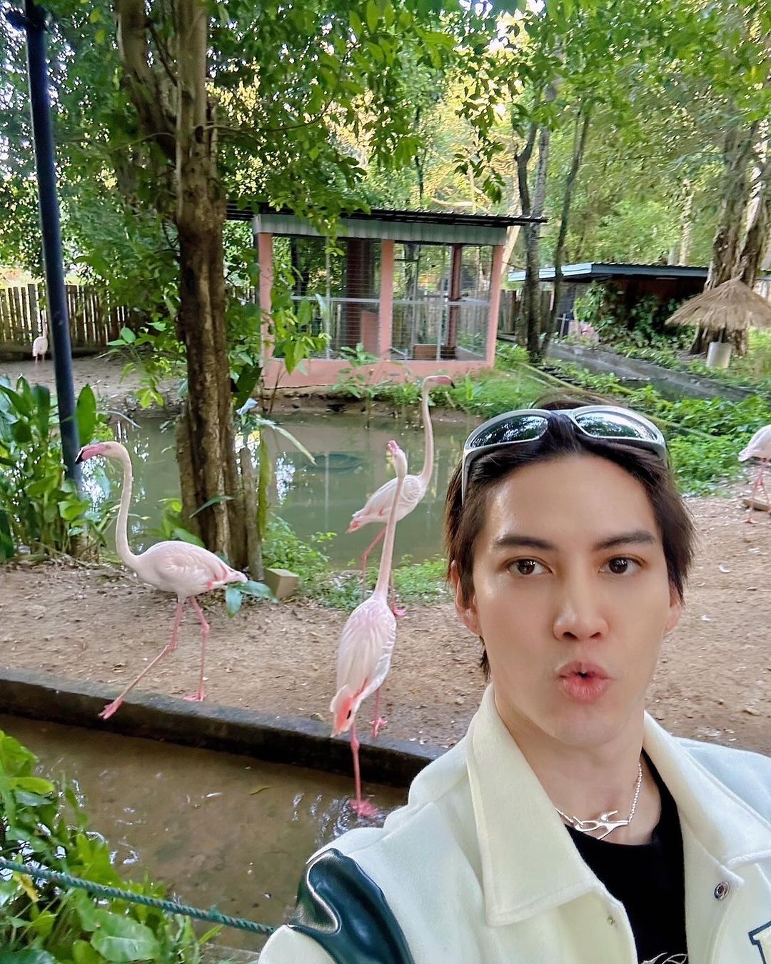 กอล์ฟ - พิชญะ นิธิไพศาลกุล