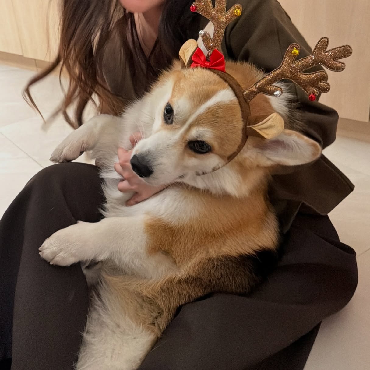 กอล์ฟ - พิชญะ นิธิไพศาลกุล