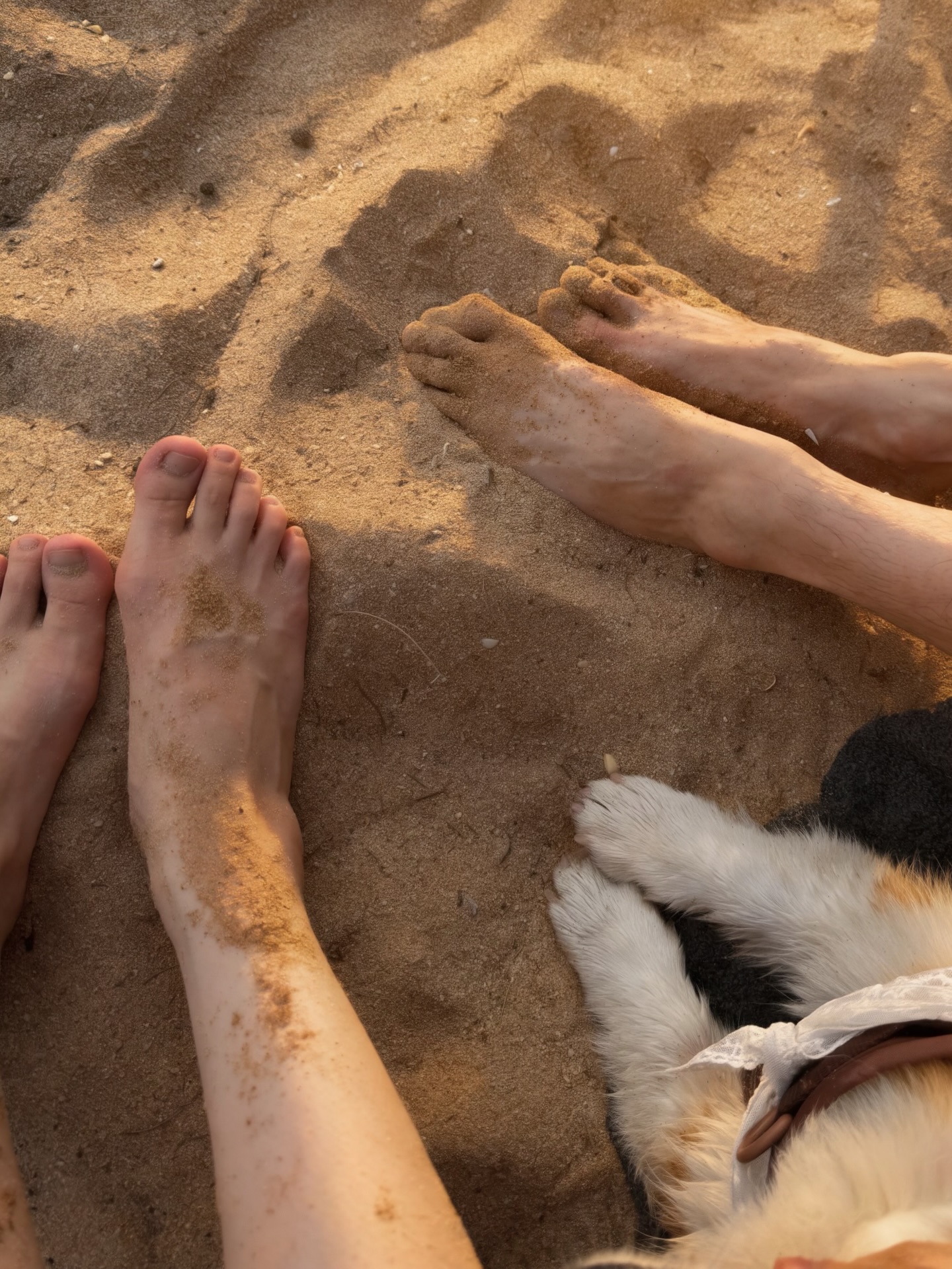 กอล์ฟ - พิชญะ นิธิไพศาลกุล