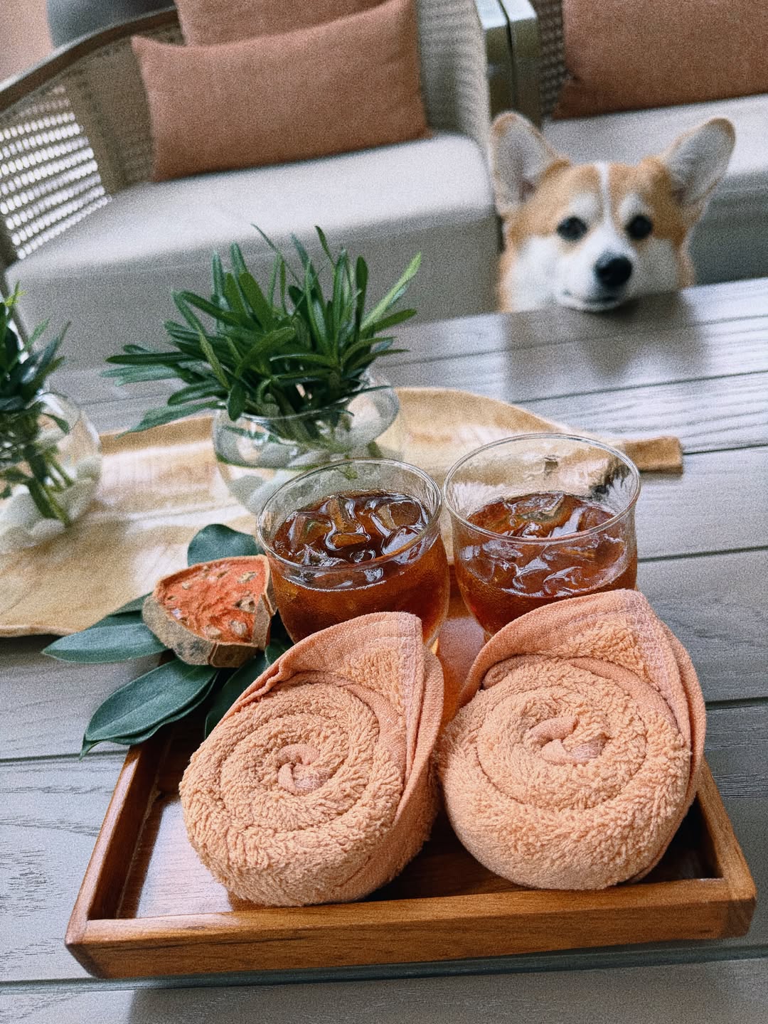 กอล์ฟ - พิชญะ นิธิไพศาลกุล