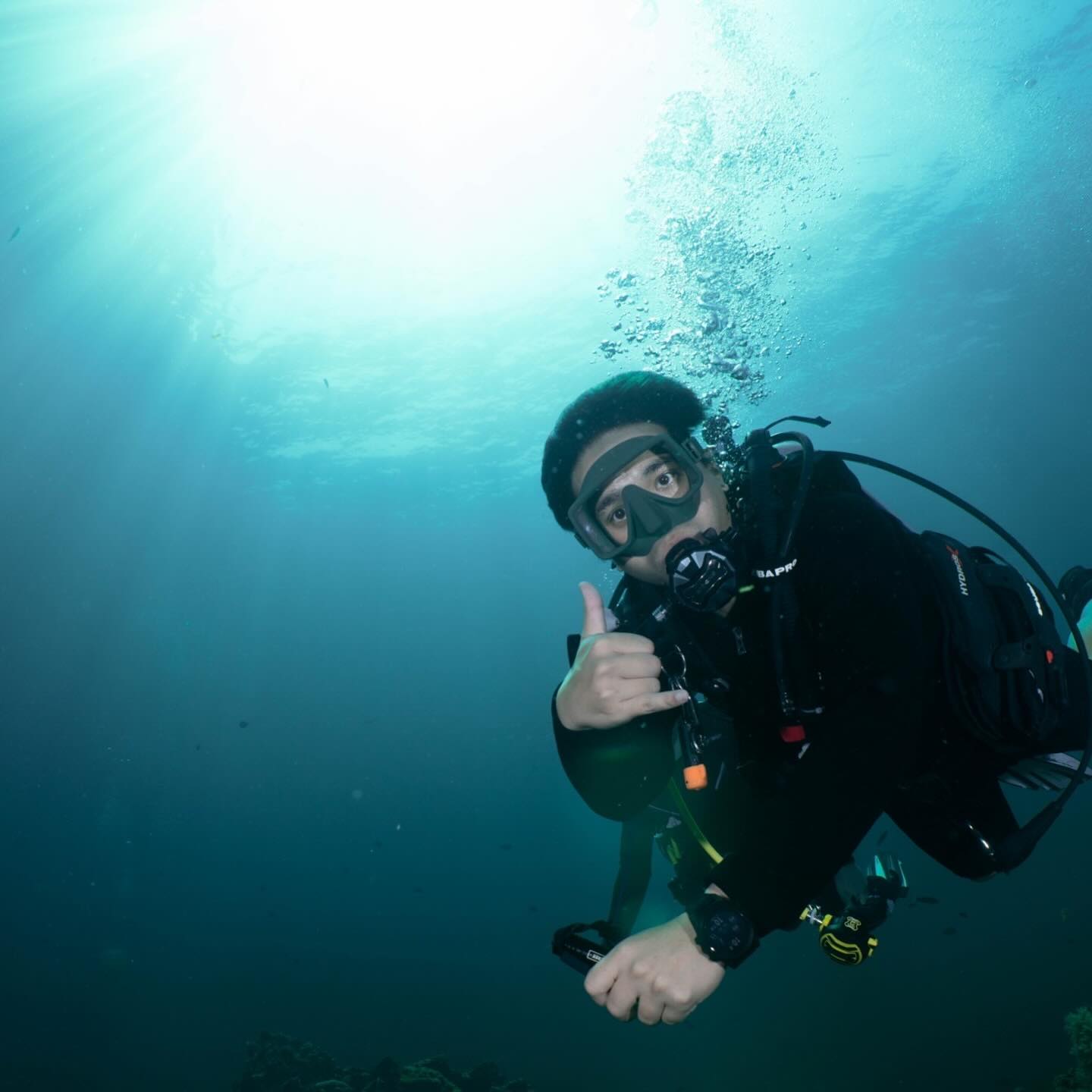 อเล็กซ์ เรนเดลล์