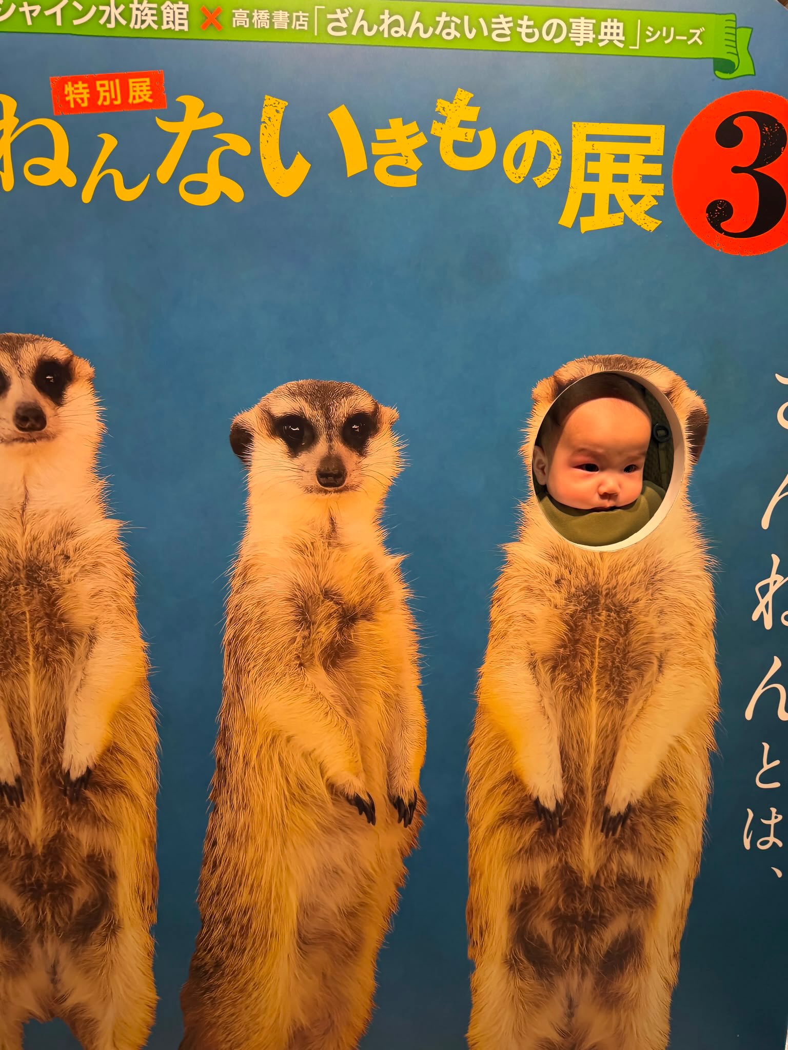 อเล็กซ์ เรนเดลล์