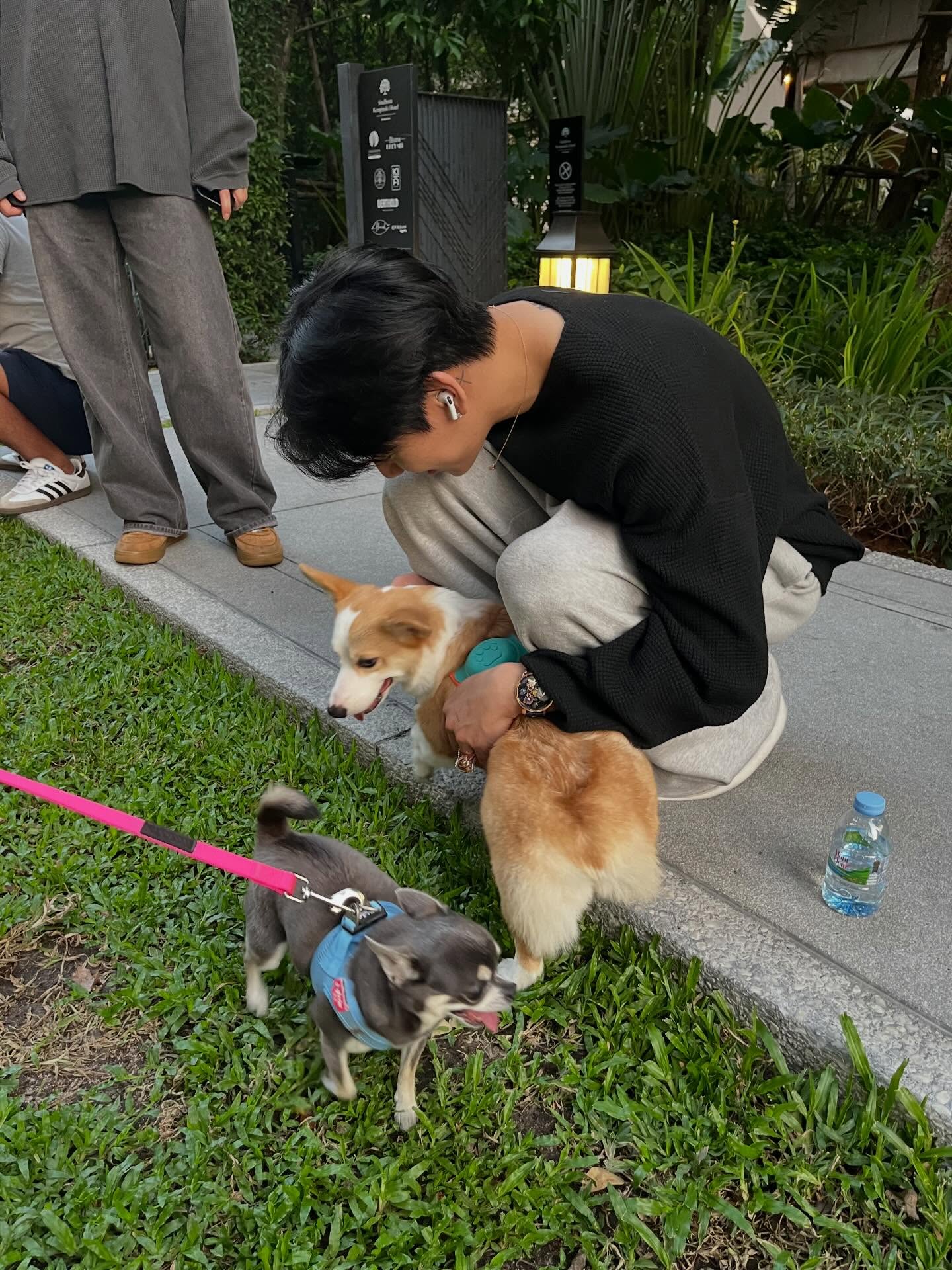 แบมแบม - กันต์พิมุกต์ ภูวกุล