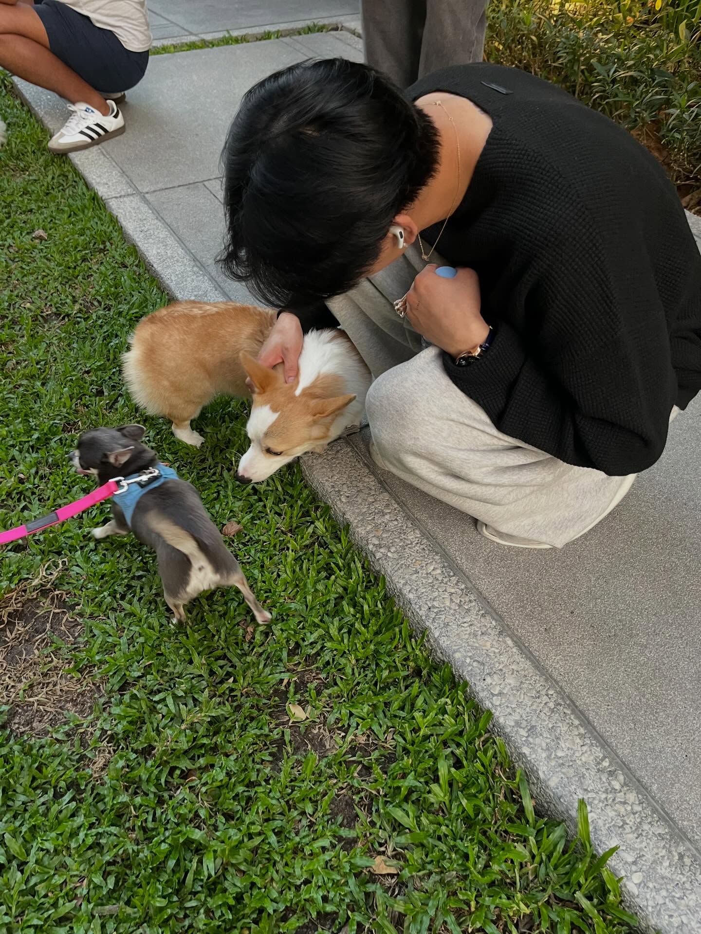 แบมแบม - กันต์พิมุกต์ ภูวกุล