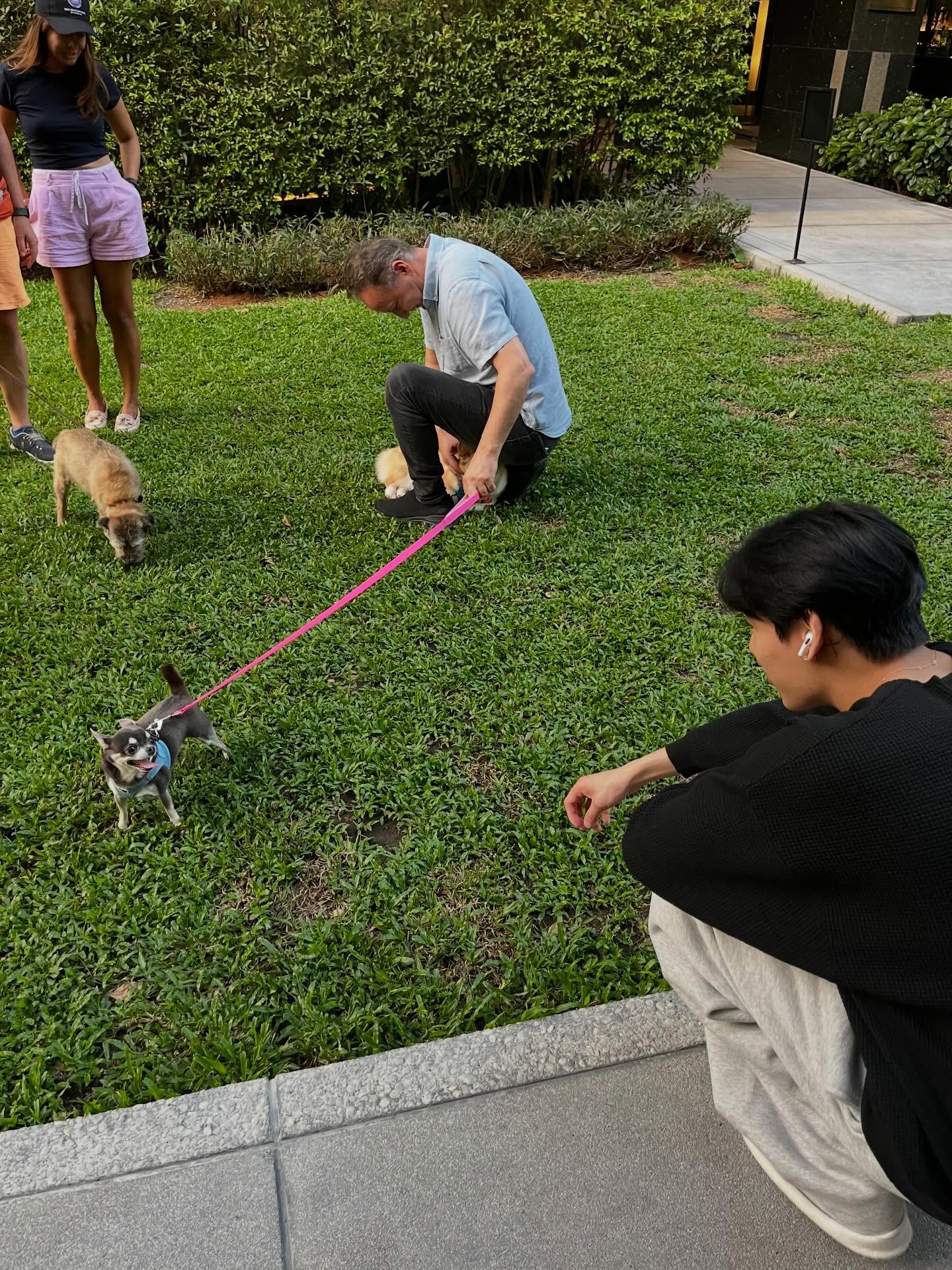 แบมแบม - กันต์พิมุกต์ ภูวกุล