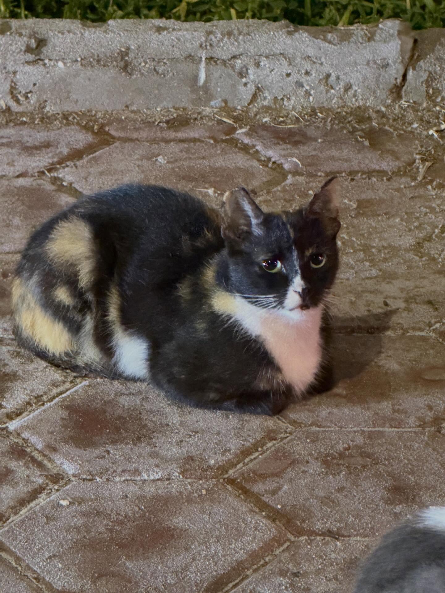 แบมแบม - กันต์พิมุกต์ ภูวกุล