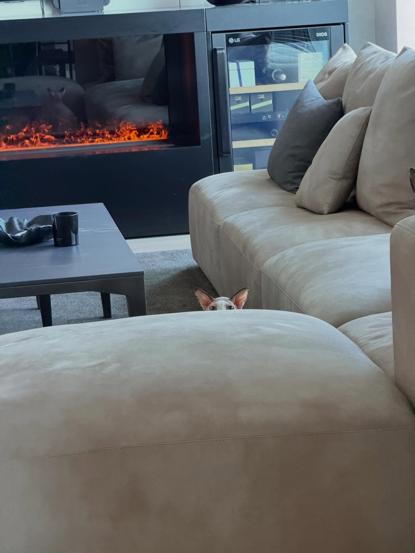 แบมแบม - กันต์พิมุกต์ ภูวกุล