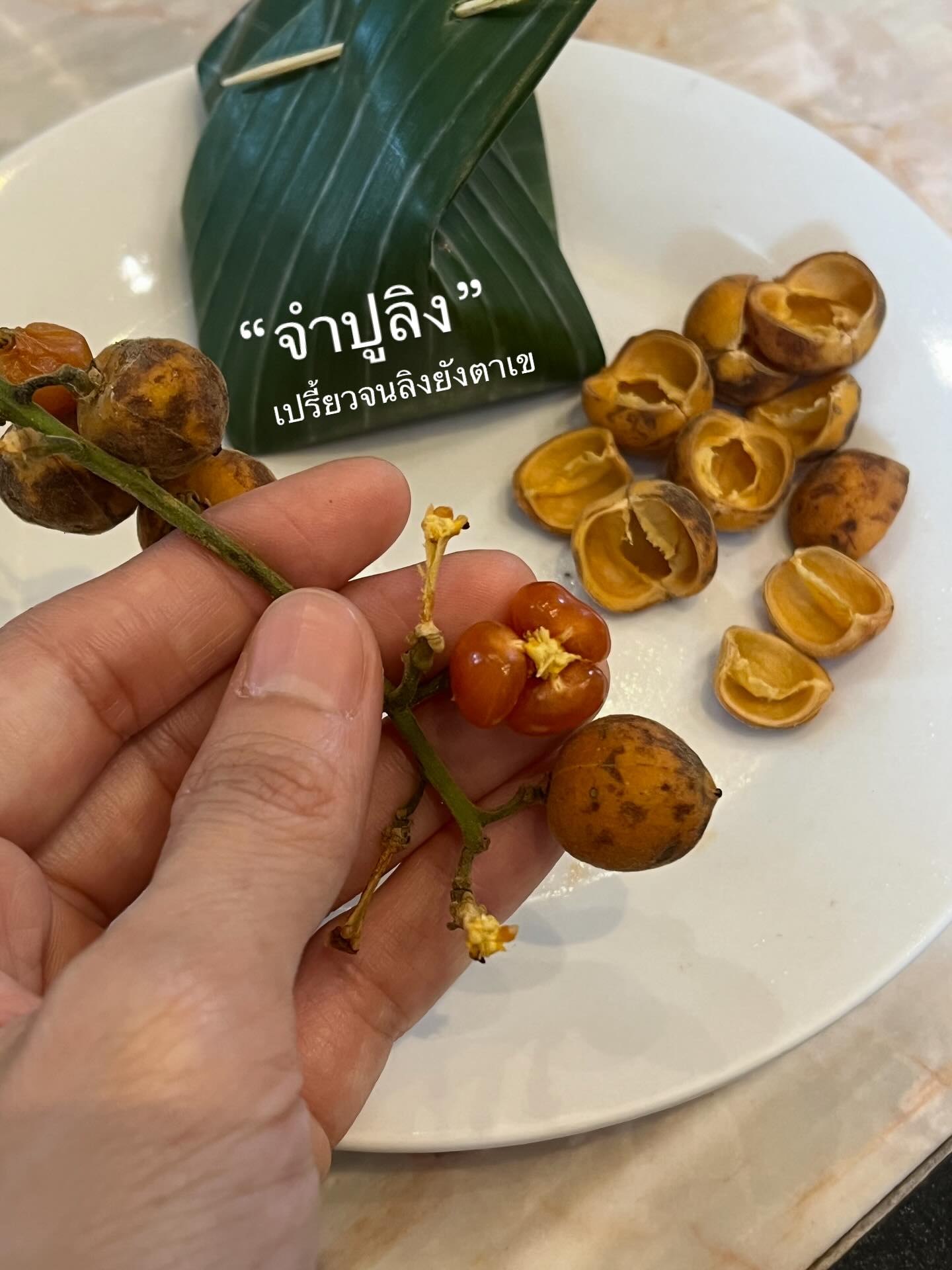 มิ้น - มิณฑิตา วัฒนกุล