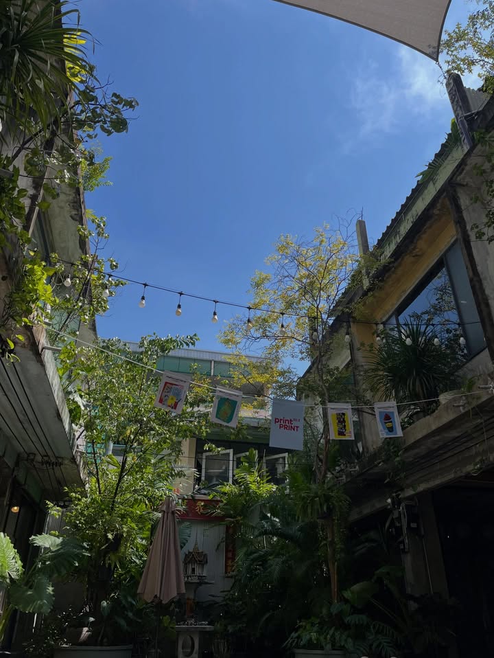 มิ้น - มิณฑิตา วัฒนกุล