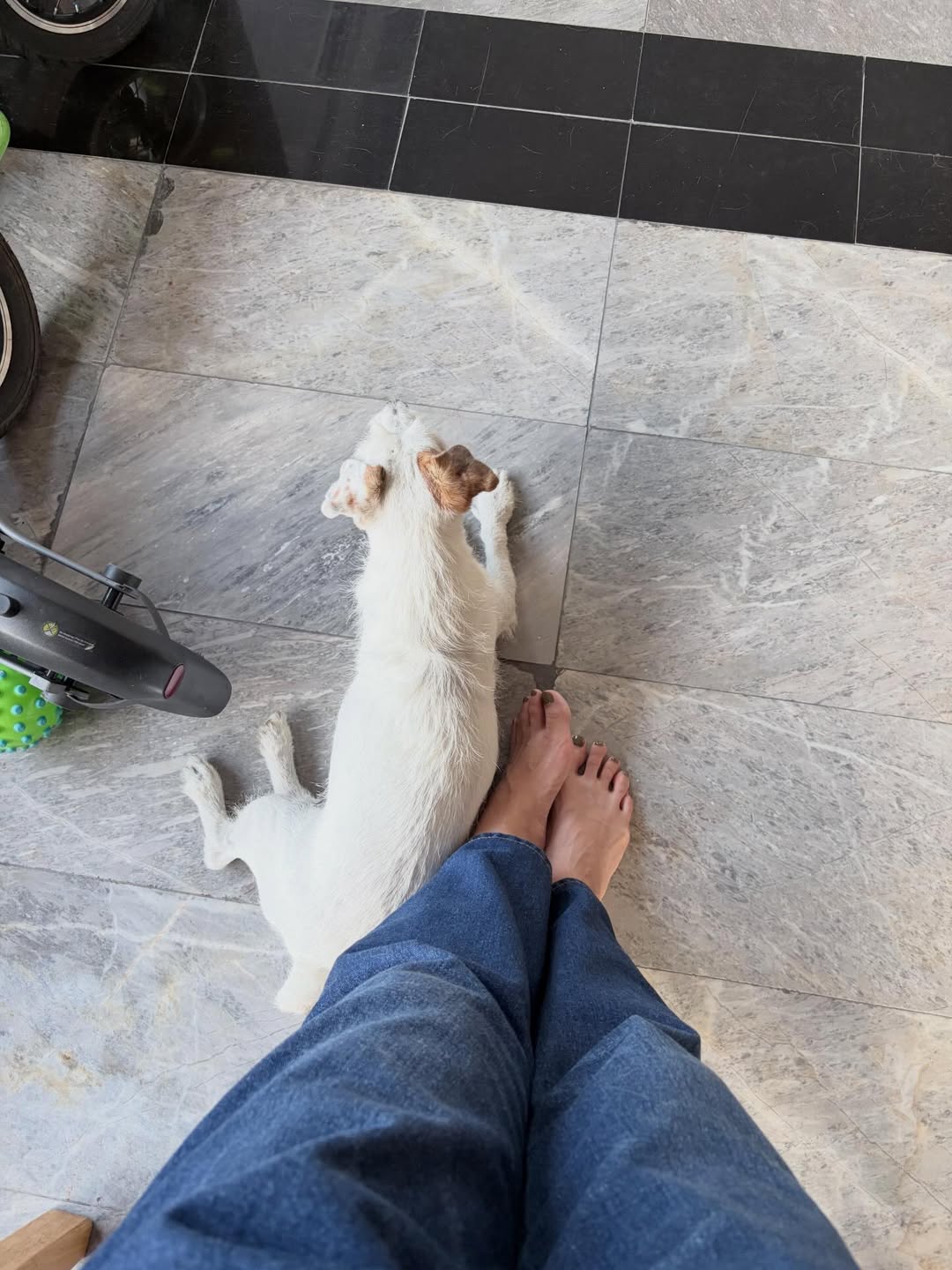 มิ้น - มิณฑิตา วัฒนกุล